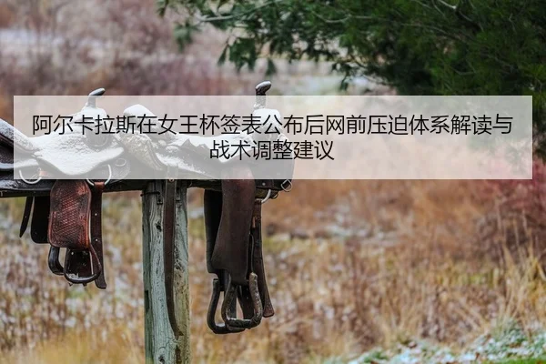 a-er-ka-la-si-zai-nv-wang-bei-qian-biao-gong-bu-hou-wang-qian-ya-po-ti-xi-jie-du-yu-zhan-shu-tiao-zheng-jian-yi-2-716.jpg